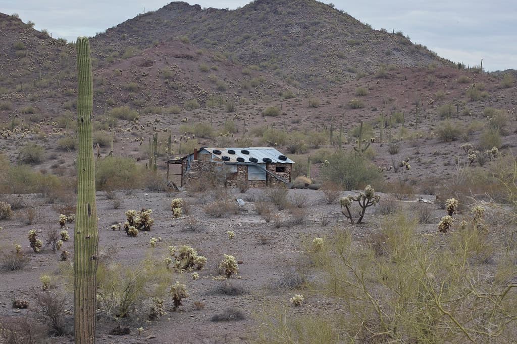 Sonoran Desert landscape in Arizona with saguaro cactus and rugged terrain